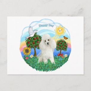 Poodle (wit #14) briefkaart
