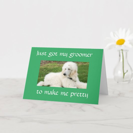  "POODLE" ZEGT "HAPPY BIRTHDAY-KAART" KAART (Kleine Plant)