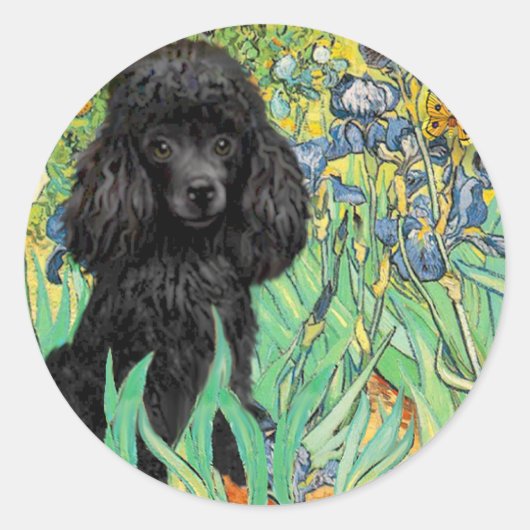 Poodle (zwart 1) - Irissen Ronde Sticker (Voorkant)