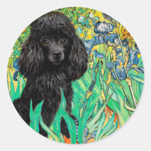 Poodle (zwart 1) - Irissen Ronde Sticker