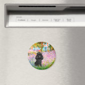 Poodle (zwart 1) - Tuin Magneet (Insitu (Vaatwasser))