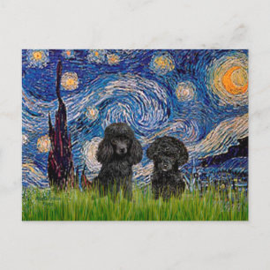 Poodle (zwart) - Sterrennacht Briefkaart