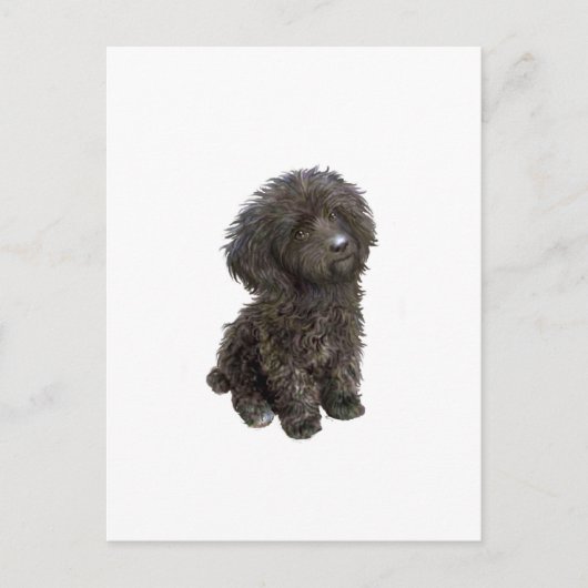 Poodle - zwarte speelgoed pup briefkaart (Voorkant)