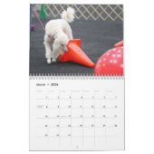 Poodles 2013 kalender (Mar 2026)