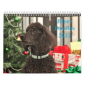 Poodles 2013 kalender (Hoes)