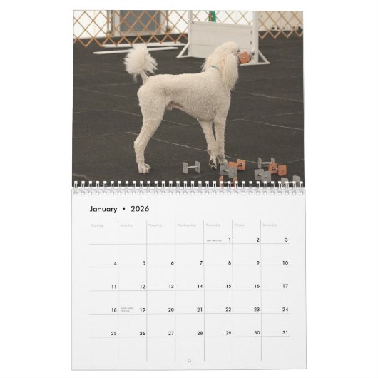 Poodles 2013 kalender (Jan 2026)