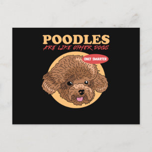 Poodles Are Smarter Dog Owner Poodle Briefkaart