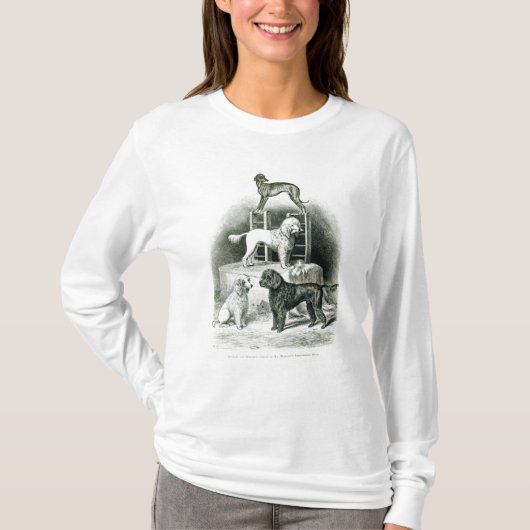 Poodles en Whippet - Fractie van de heer Walton T-shirt (Voorkant)