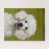 Poodles Honden. Legpuzzel (Horizontaal)