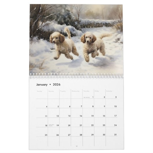 Poodles Kalender, elk jaar Kalender (Jan 2026)