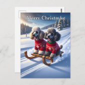 Poodles Sled Ride Kerstmis Briefkaart (Voorkant / Achterkant)