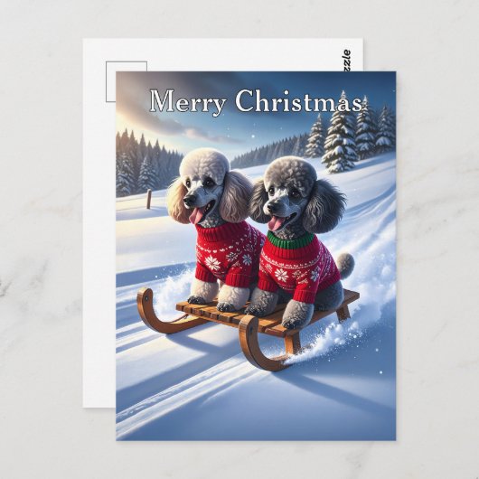 Poodles Sled Ride Kerstmis Briefkaart (Voorkant / Achterkant)