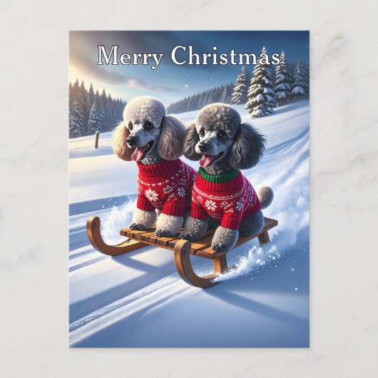 Poodles Sled Ride Kerstmis Briefkaart (Voorkant)