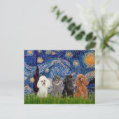 Poodles (vier) - Sterrennacht Briefkaart (Staand voorkant)