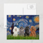 Poodles (vier) - Sterrennacht Briefkaart (Voorkant / Achterkant)