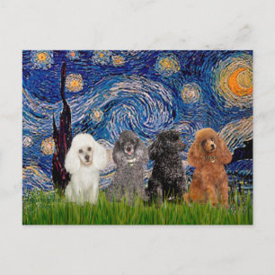 Poodles (vier) - Sterrennacht Briefkaart