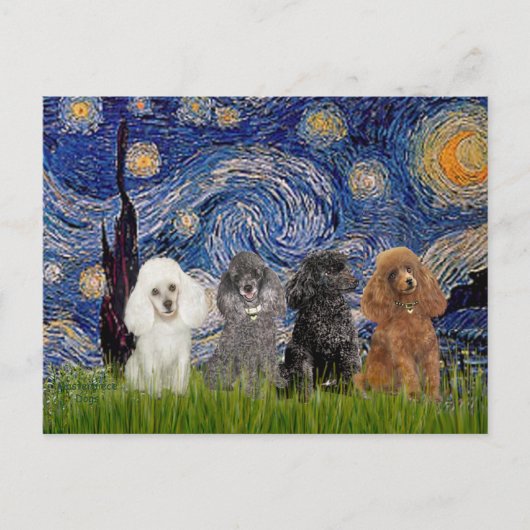 Poodles (vier) - Sterrennacht Briefkaart (Voorkant)
