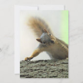 Poof Kaart (Voorkant)