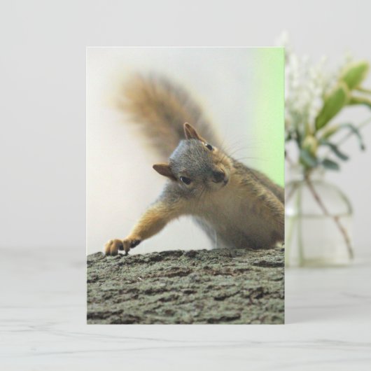 Poof Kaart (Staand voorkant)