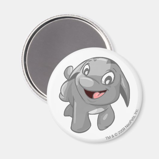 Poogle Silver Magneet (Voorkant / Achterkant)