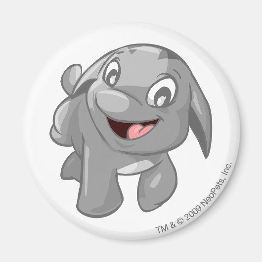 Poogle Silver Magneet (Voorkant)