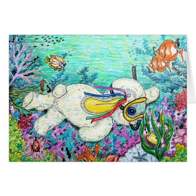 POOKY DIVE (Voorkant Horizontaal)