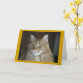 "Pooky" Kaart (Gele Bloem)