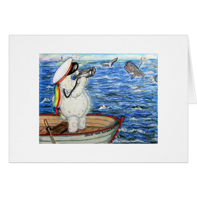 POOKY WHALE WATCHING (Voorkant Horizontaal)