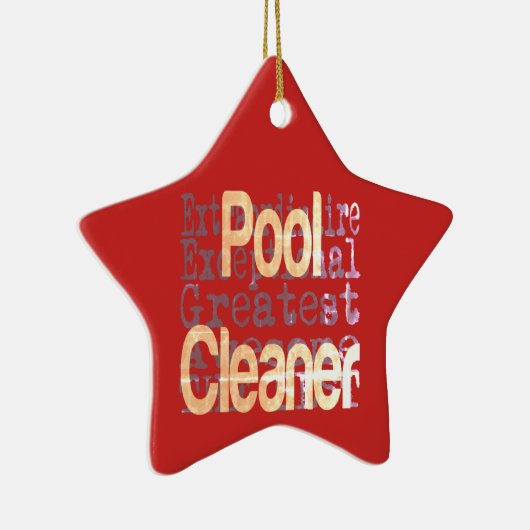 Pool Cleaner Buitengewoon Keramisch Ornament (Rechts)