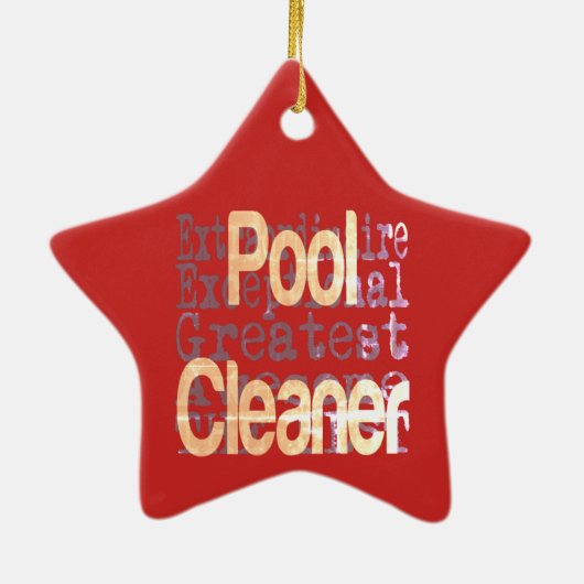 Pool Cleaner Buitengewoon Keramisch Ornament (Achterkant)