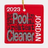 Pool Cleaner Buitengewoon Keramisch Ornament (Voorkant)