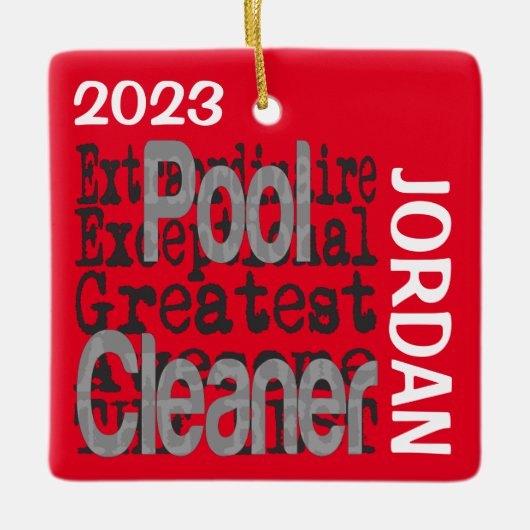 Pool Cleaner Buitengewoon Keramisch Ornament (Voorkant)