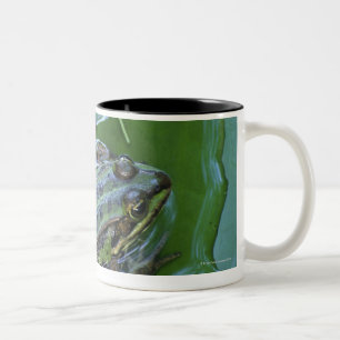 Pool Frog, Amperauen, Duitsland Tweekleurige Koffiemok