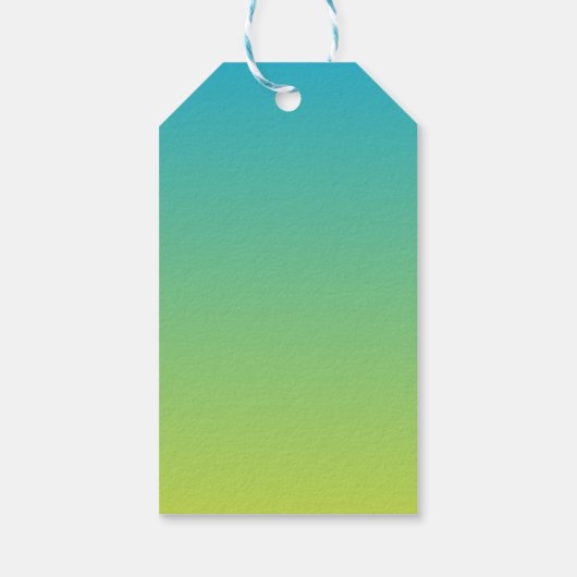 Pool Party Boy Verjaardag Cadeaulabel (Achterkant)