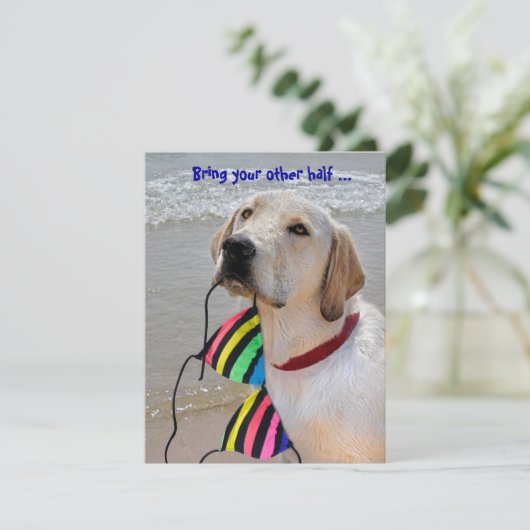 Pool Party Humor Kaart (Staand voorkant)