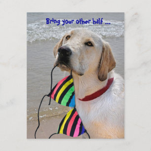 Pool Party Humor Kaart