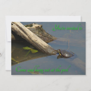Pool Party Invitation - Basking Turtle Kaart