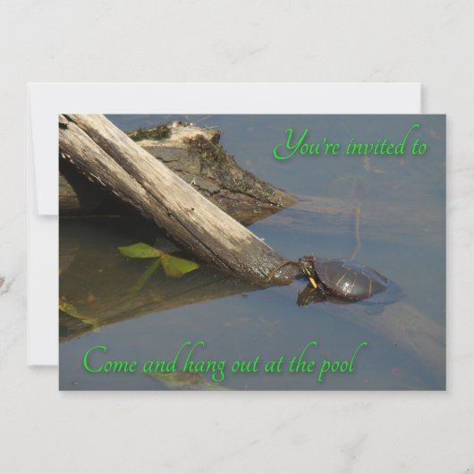 Pool Party Invitation - Basking Turtle Kaart (Voorkant)