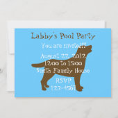 Pool Party Labradors 2 Kaart (Achterkant)