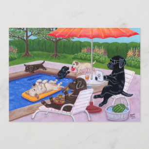 Pool Party Labradors 2 Kaart
