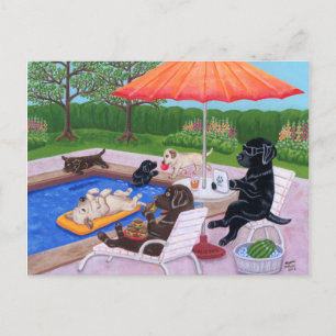 Pool Party Labradors 2 Painting Briefkaart