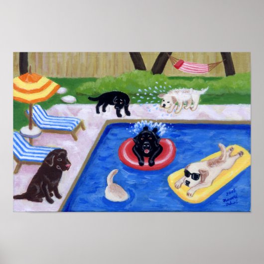 Pool Party Labradors (nieuw) Poster (Voorkant)