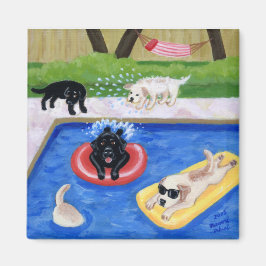 Pool Party Labradors schilderen Magneet