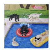 Pool Party Labradors schilderen Tegeltje (Voorkant)