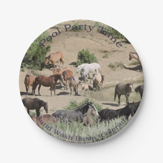 Pool Party Time Sand Wash Basis Papieren Bordje (Voorkant)