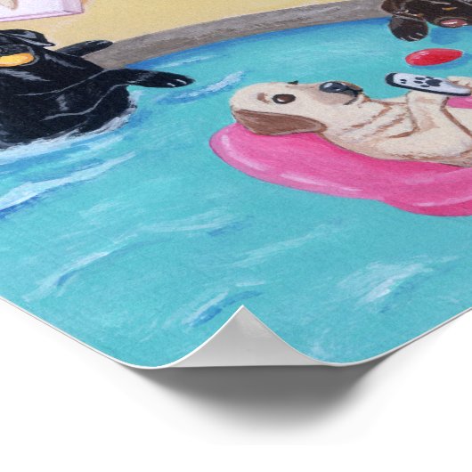 Pool Side Labradors-werk Poster (Hoek)