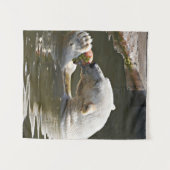 Poolbeer Eet Fruit Horizon Wandkleed (Voorkant (horizontaal))