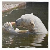 Poolbeer Eet Fruit Tegeltjes Kunst (Voorkant)