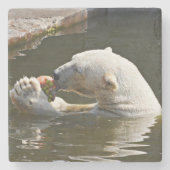 Poolbeer eet fruit uitzicht stenen onderzetter (Voorkant)