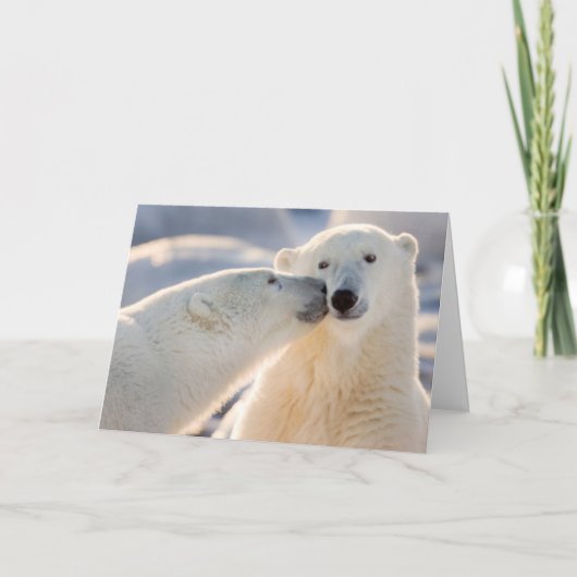 Poolbeer Kus Feestdagen Kaart (Voorkant)